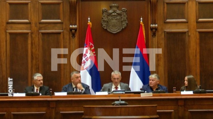 Vulin: Evropa uslovljava, BRIKS ne